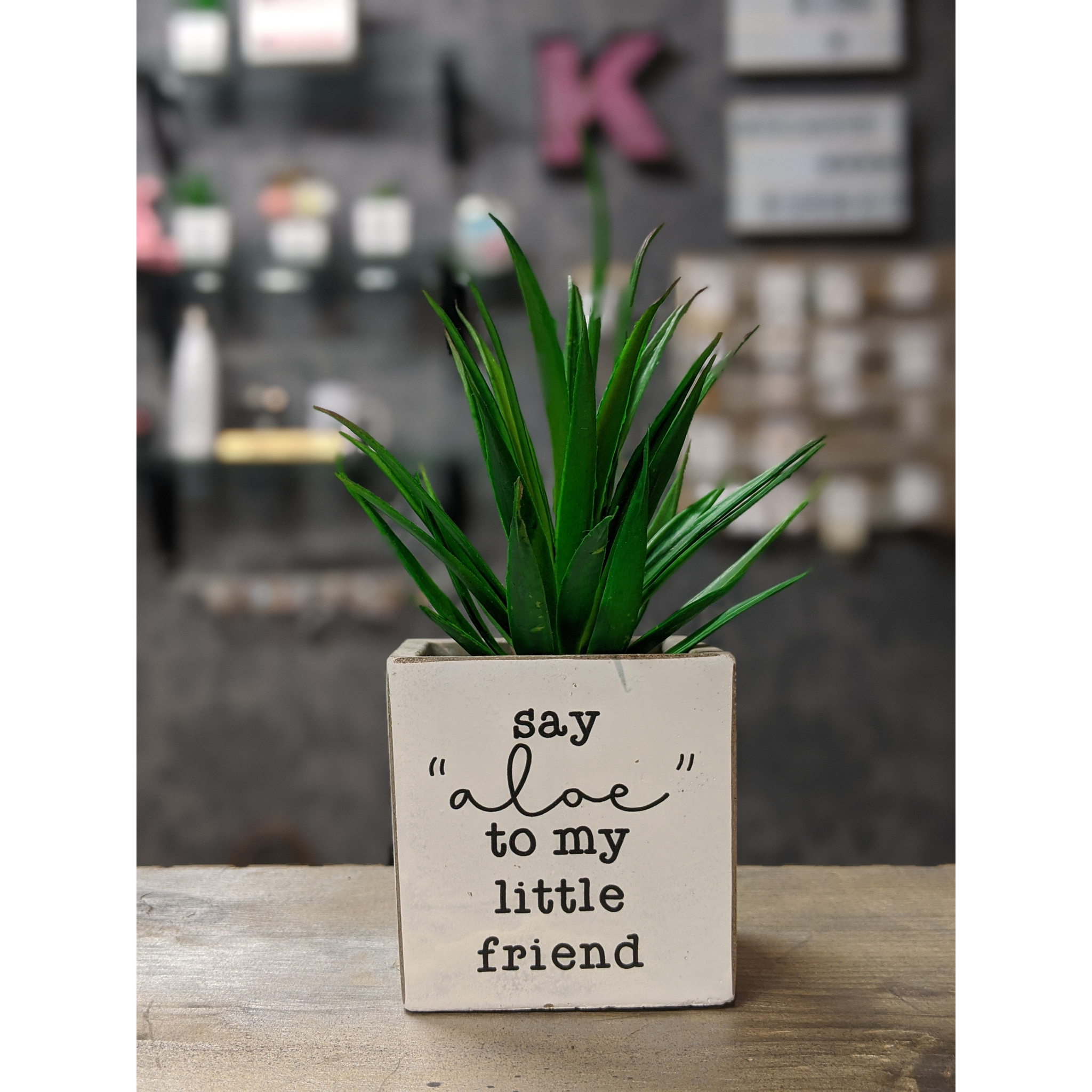 Say Aloe Planter - Karmas Boutique YEG